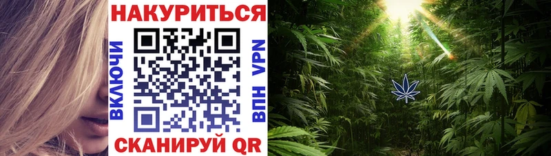 Купить закладки  Чёрмоз  Канабис Amnesia 